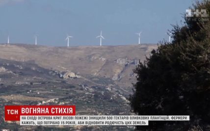 На відновлення сільського господарства Криту після пожежі знадобиться 15 років