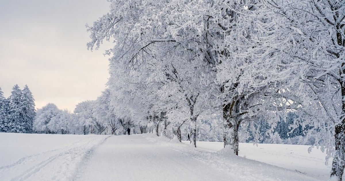 Фотогалерея Зима - Загородный отель «Царьград»
