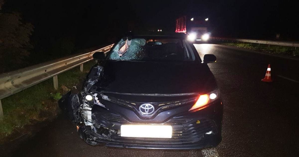 Внезапно выбежал: на трассе Киев-Чоп погиб 29-летний мужчина (фото)