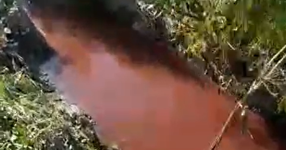 Скріншот відео