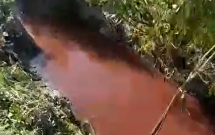 На Львовщине через село протекает "кровавая" река: видео