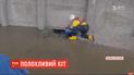 У Лондоні рятувальникам ледь вдалось витягнути з Темзи полохливого кота