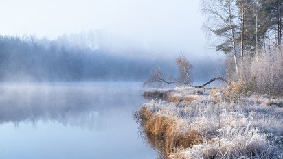 Гороскоп на 9 ноября