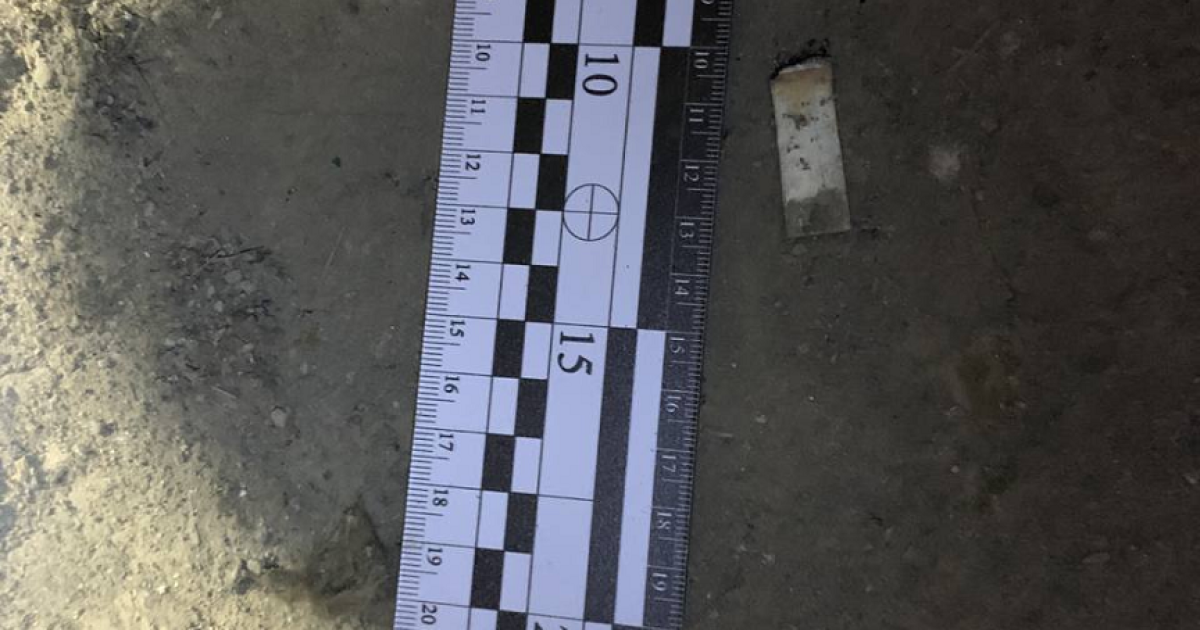 Вбивство Габріели в Ужгороді_2