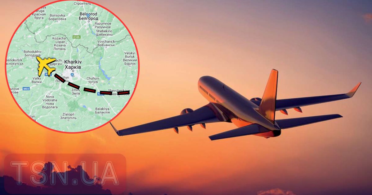 Пасажирський літак в небі над Україною / Колаж ТСН.ua