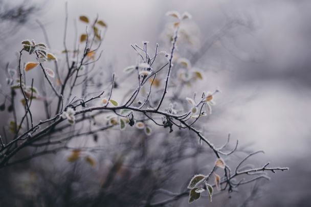 Народні прикмети 28 грудня / © Unsplash