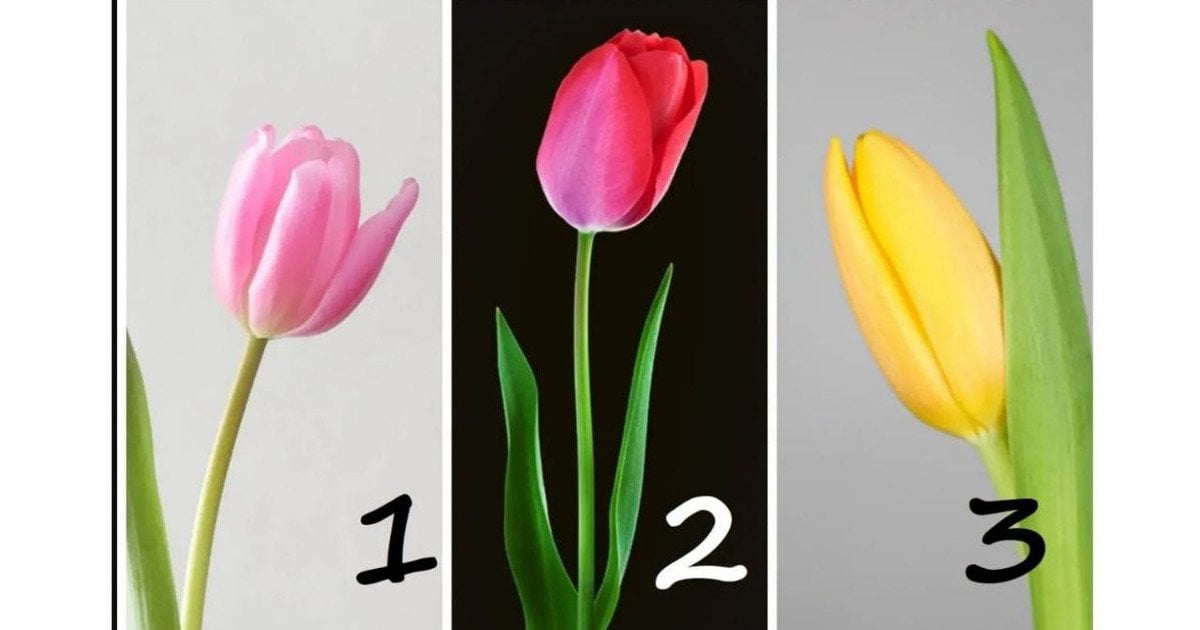 Личностный тест