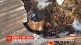 Одеського забудовника хотіли залякати вибухом у місцевому ресторані