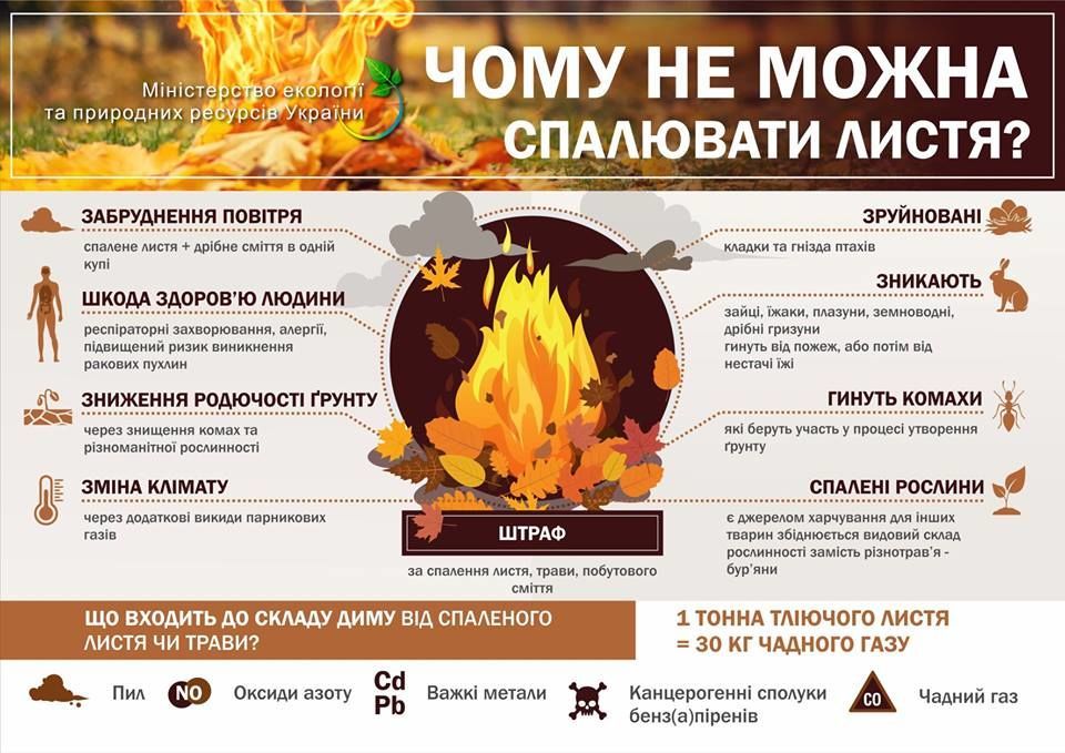 Пояснення, чому не можна спалювати листя / © Міністерство екології та природних ресурсів України