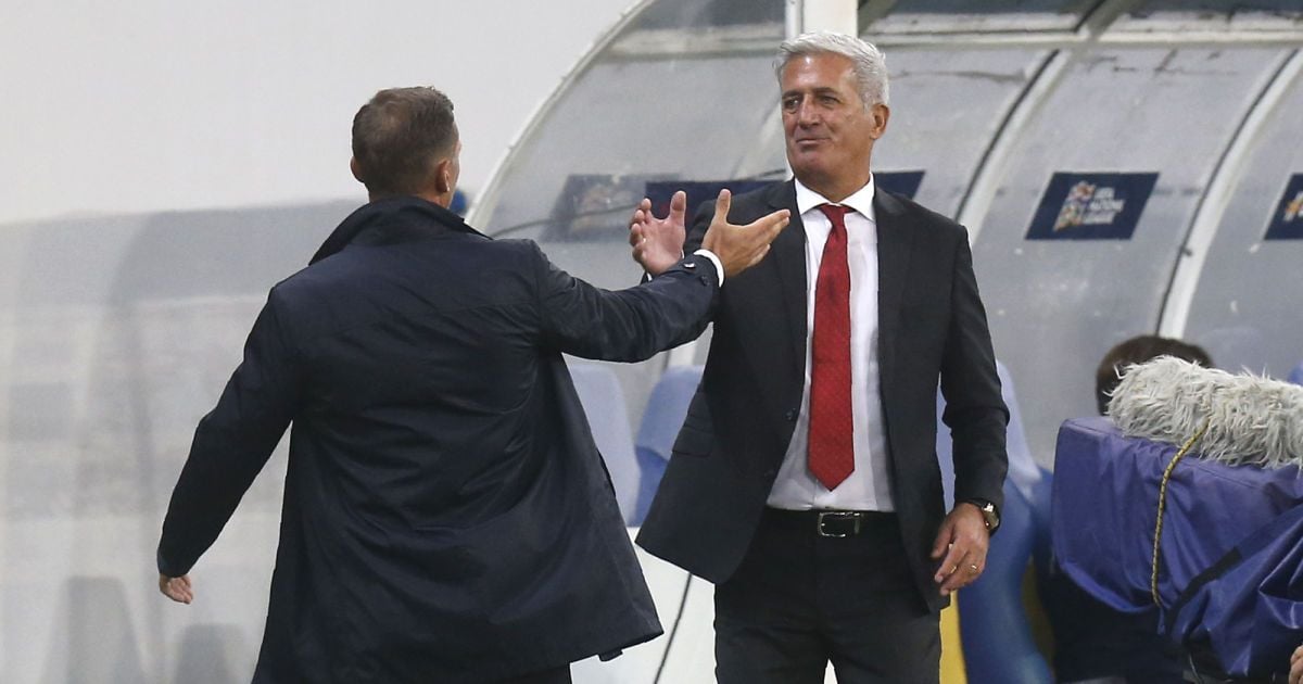 "Україна показала, чому в неї такі блискучі результати" - тренер збірної Швейцарії