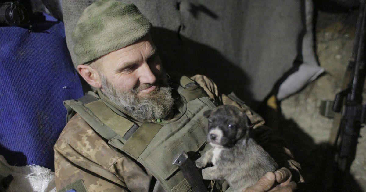 Штаб ООС: терористи 11 разів відкривали вогонь