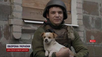 Повернення вірного друга: історія собаки воїна ЗСУ, господар якого загинув на фронті