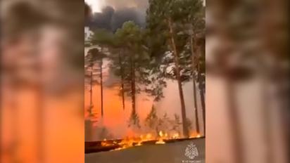 У Якутії горить понад 125 тис. га лісу