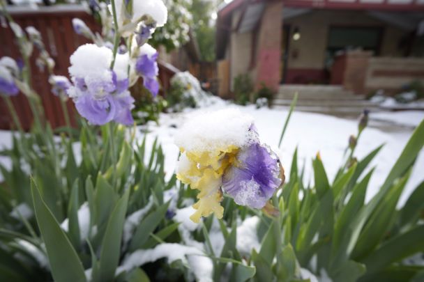 Різке похолодання, шквальний вітер та заморозки: синоптики попереджають про погіршення погоди в Україні — у яких регіонах оголосили про небезпеку