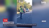 Новости мира: в Австралии гигантская змея заблокировала движение на трассе