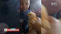 Найцікавіше і найсмішніше відео ваших улюбленців