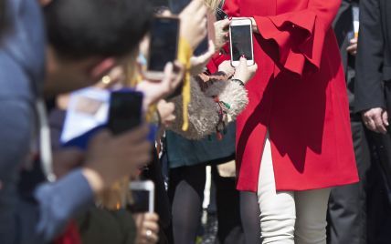 В пальто от Zara: королева Летиция появилась на публике в ярком образе