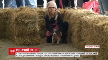 В США устроили забег для такс