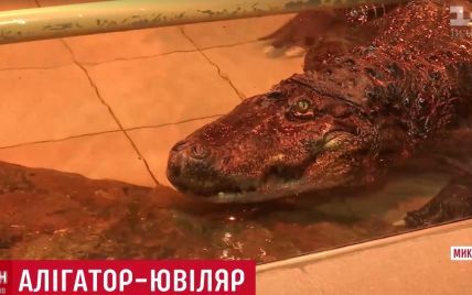 Унікальний алігатор Вася потрапив до Книги рекордів України