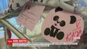 В Польше родилась первая в стране шестерня