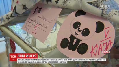 В Польше родилась первая в стране шестерня