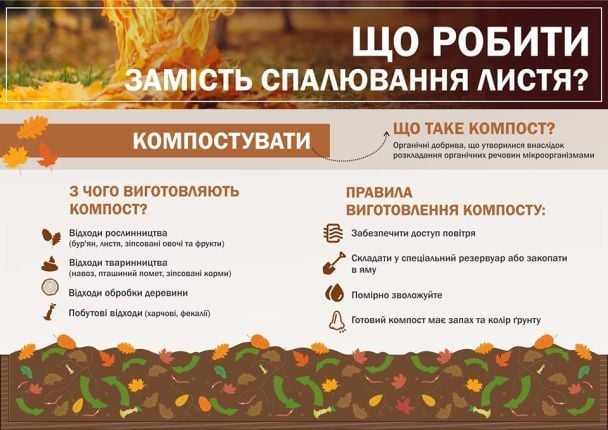 Що робити з листям замість спалювання / © Міністерство екології та природних ресурсів України