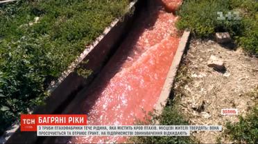 Реки крови: птицефабрика во Владимире-Волынском сливает в почву отходы с производства