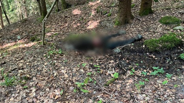 В горах у границы с Румынией обнаружили тело мужчины: был ли он уклонистом