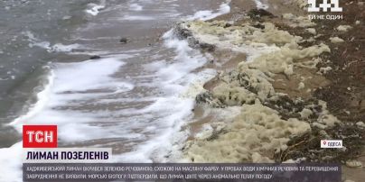 Хаджибейский лиман в пригороде Одессы, покрылся неизвестным веществом, похожим на масляную краску