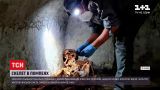 Новости мира: в Помпеях нашли уникальную гробницу с полумумифицированным телом