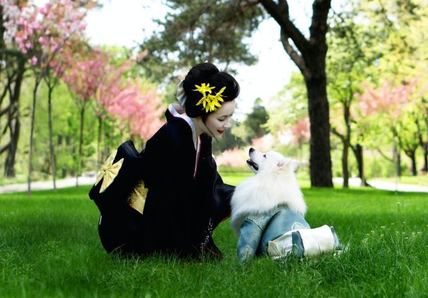 Що можна й не можна їсти на японській дієті / © Pexels Що можна й не можна їсти на японській дієті / © Pexels