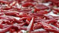 Красный перец