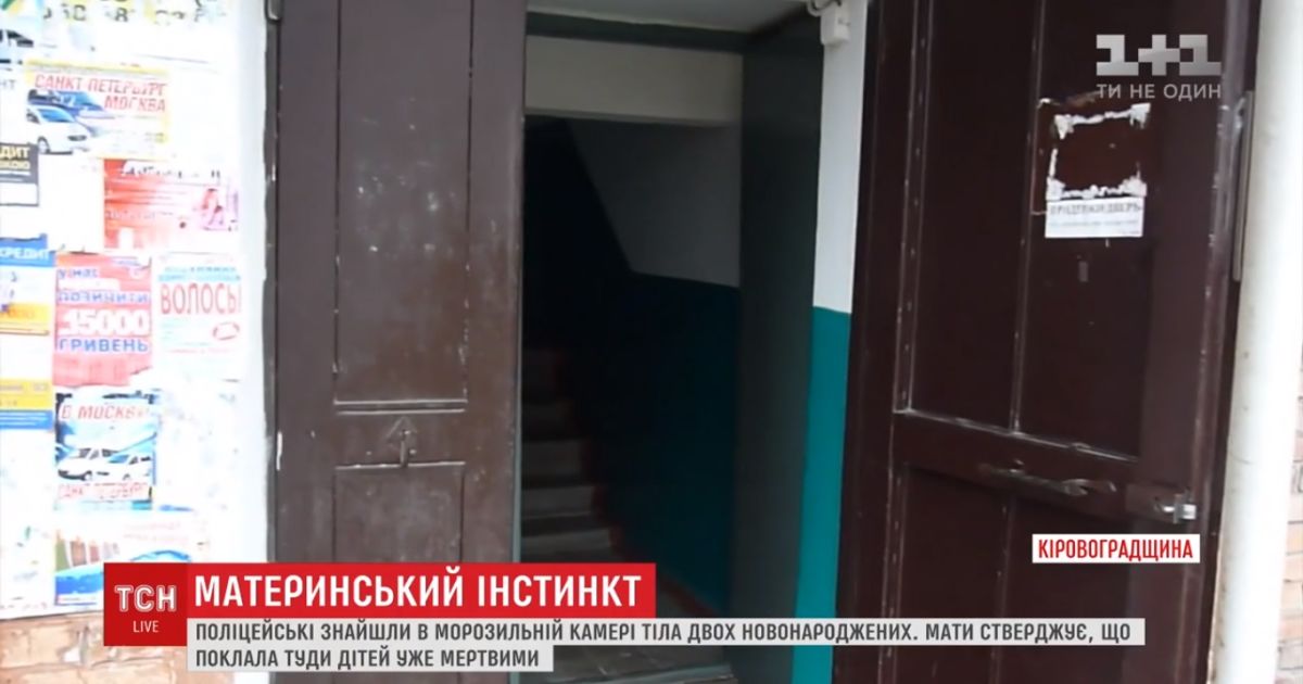 В Александрии в морозилке холодильника нашли тела новорожденных двойнят