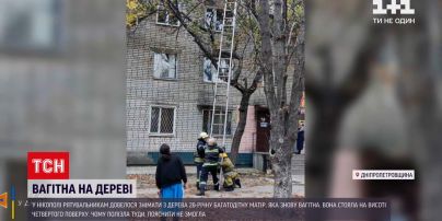 Новини України: у Нікополі рятувальники знімали з дерева вагітну жінку