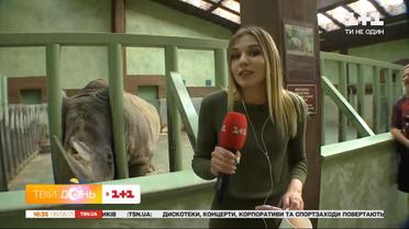 Как вести себя в контактном зоопарке, чтобы не навредить животным