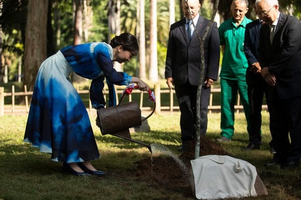 Принцеса Японії Како / © Associated Press