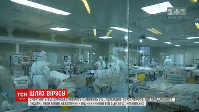 За последние 20 лет уханский коронавирус - третий, который поражает и людей, и животных