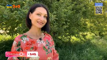 Сниданок на даче: Антонина Лесик о возрождении сада после "гостевания" орков и возвращении рубрики