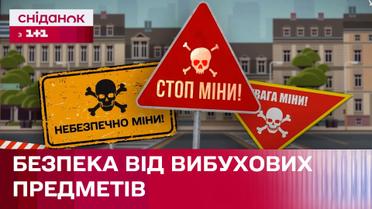 Як убезпечити себе від вибухових предметів та що робити, якщо знайшли міну? – Покроково з Фросею