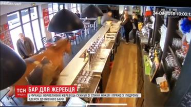 Во Франции жеребец сбросил со спины жокея и ворвался в пивной бар