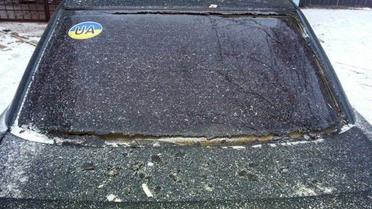 У Світлодарську бойовики застосували снаряд, осколки пошкодили будинки й авто / © Національна поліція України