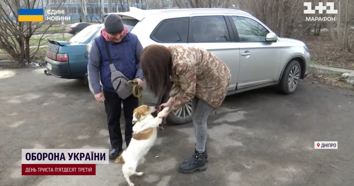 Просили пристрелити, щоб не мучився: ветеринари пів року боролись за життя пораненого песика Бургера