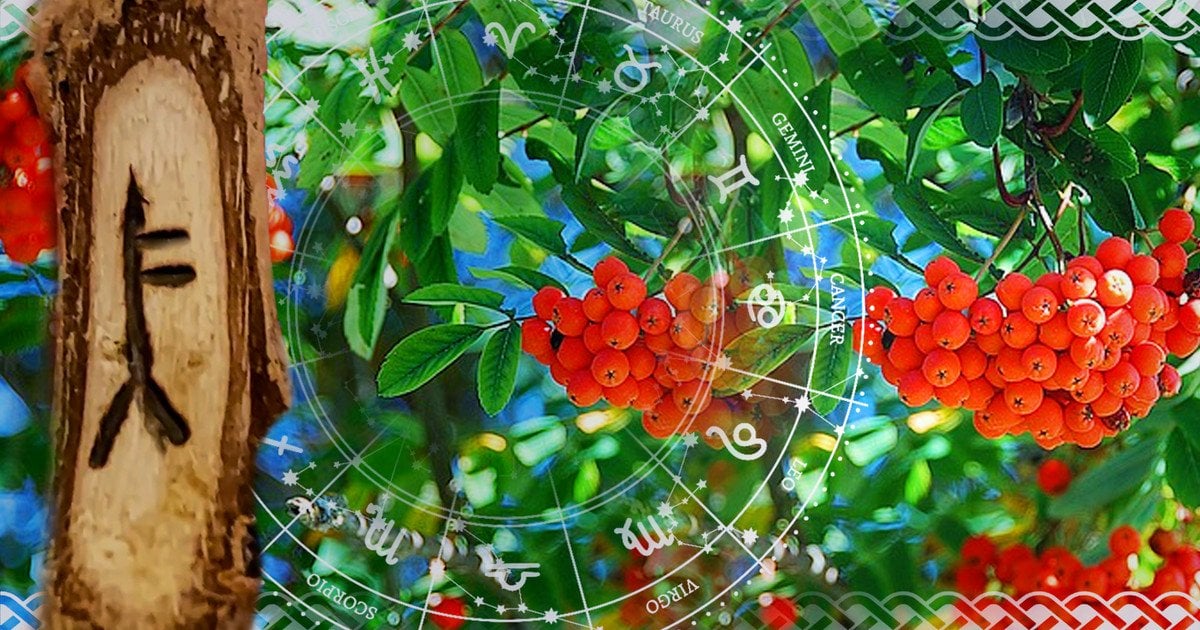 Кельтский гороскоп деревьев