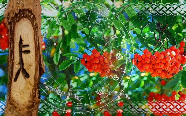 Кельтский гороскоп на 23 июля 2025: Львам — время решений, Рыбам — гибкость