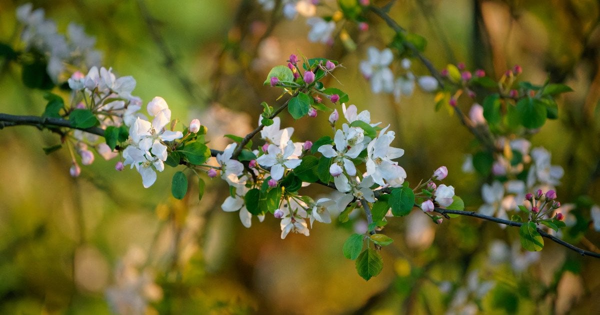 Через несколько дней придет тепло