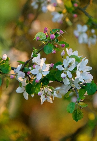 За кілька днів прийде тепло