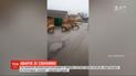 Грузовик со свиньями перевернулся под Харьковом
