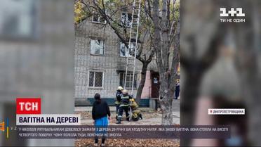 Новости Украины: в Никополе спасатели снимали с дерева беременную женщину