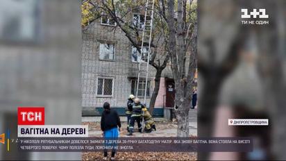 Новости Украины: в Никополе спасатели снимали с дерева беременную женщину