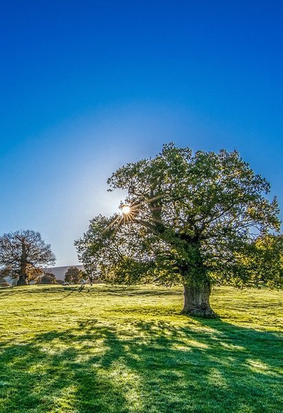 Теплая погода снова вернется